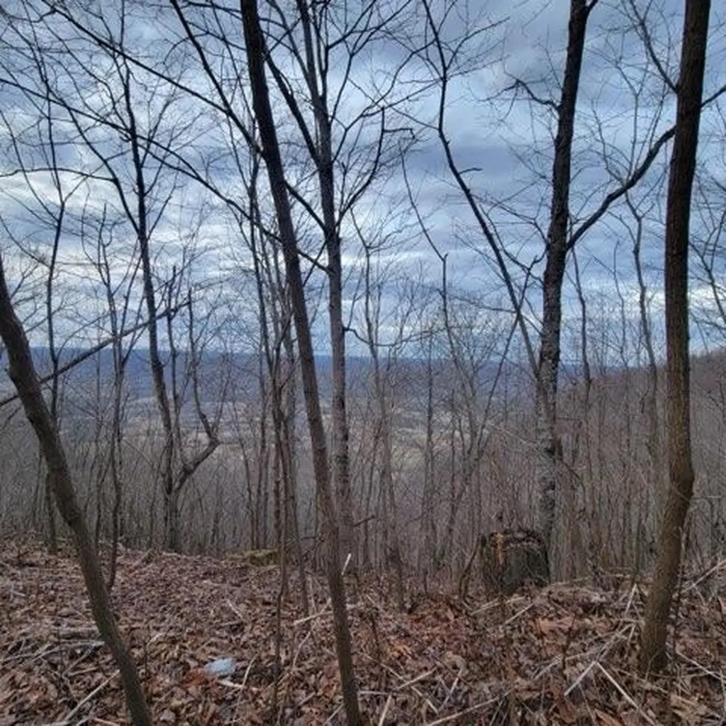 0 Little Bedford Road Spring City TN 37381