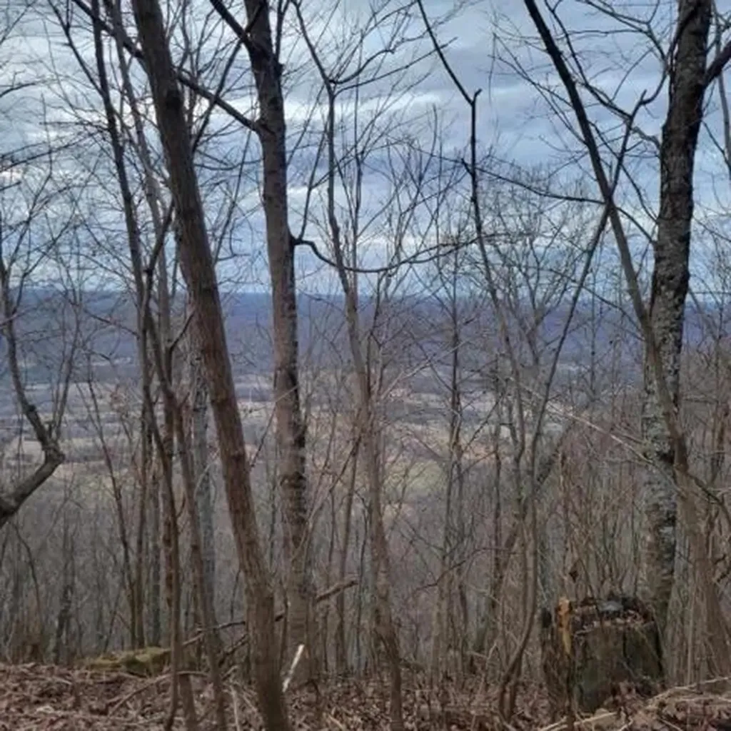 0 Little Bedford Road Spring City TN 37381