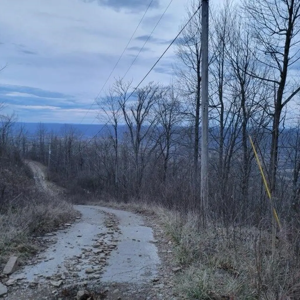0 Little Bedford Road Spring City TN 37381
