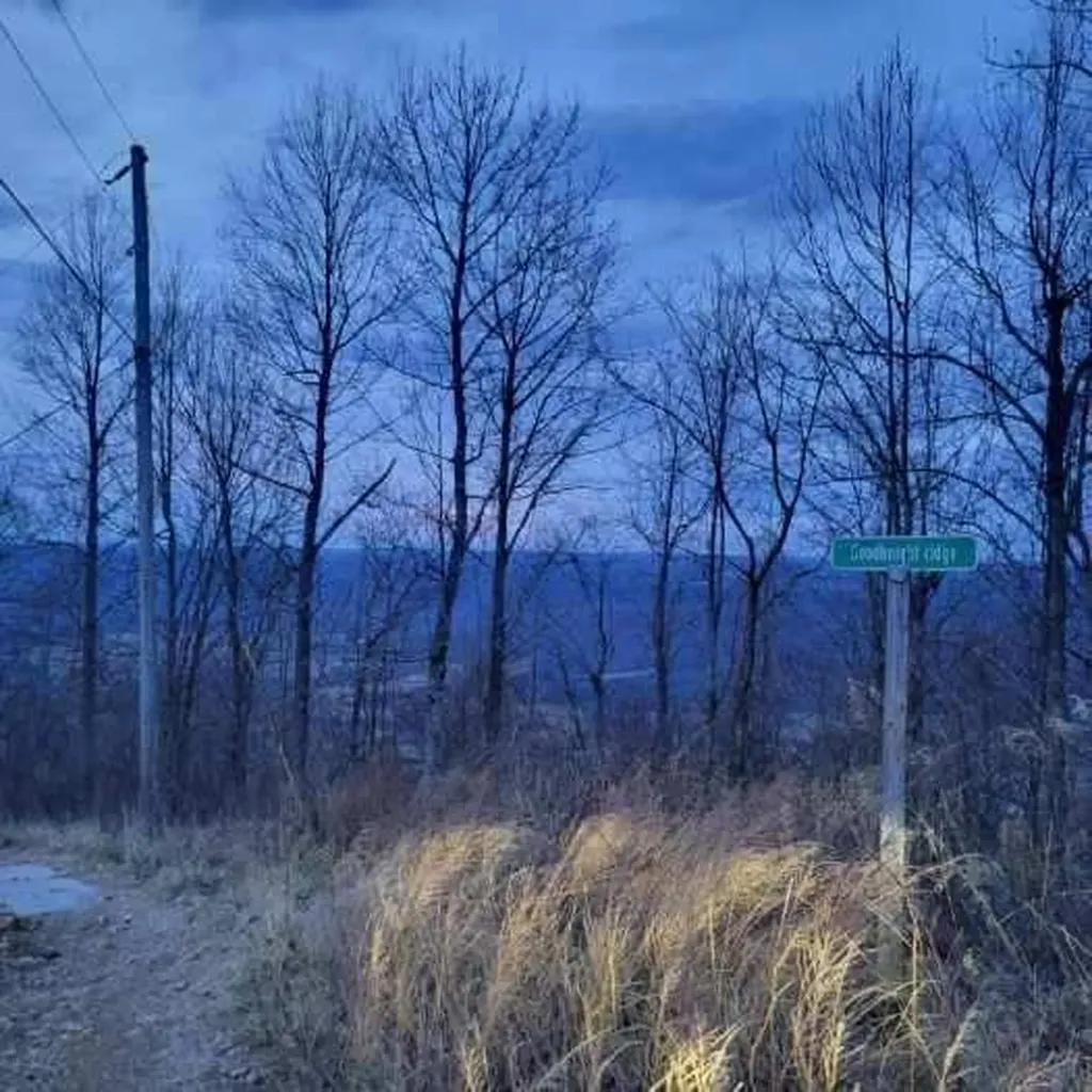 0 Little Bedford Road Spring City TN 37381