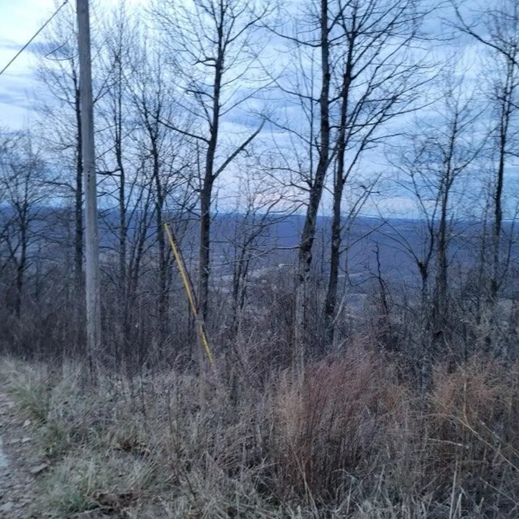 0 Little Bedford Road Spring City TN 37381