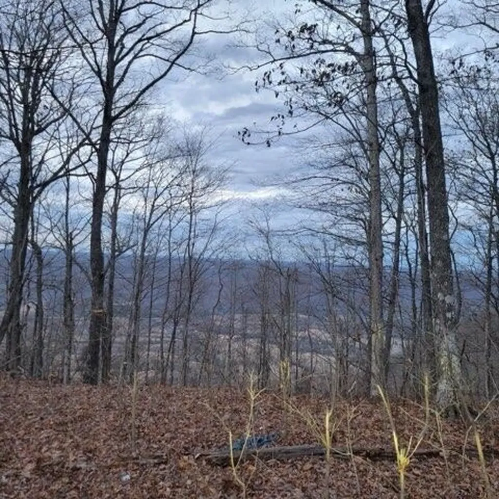 0 Little Bedford Road Spring City TN 37381