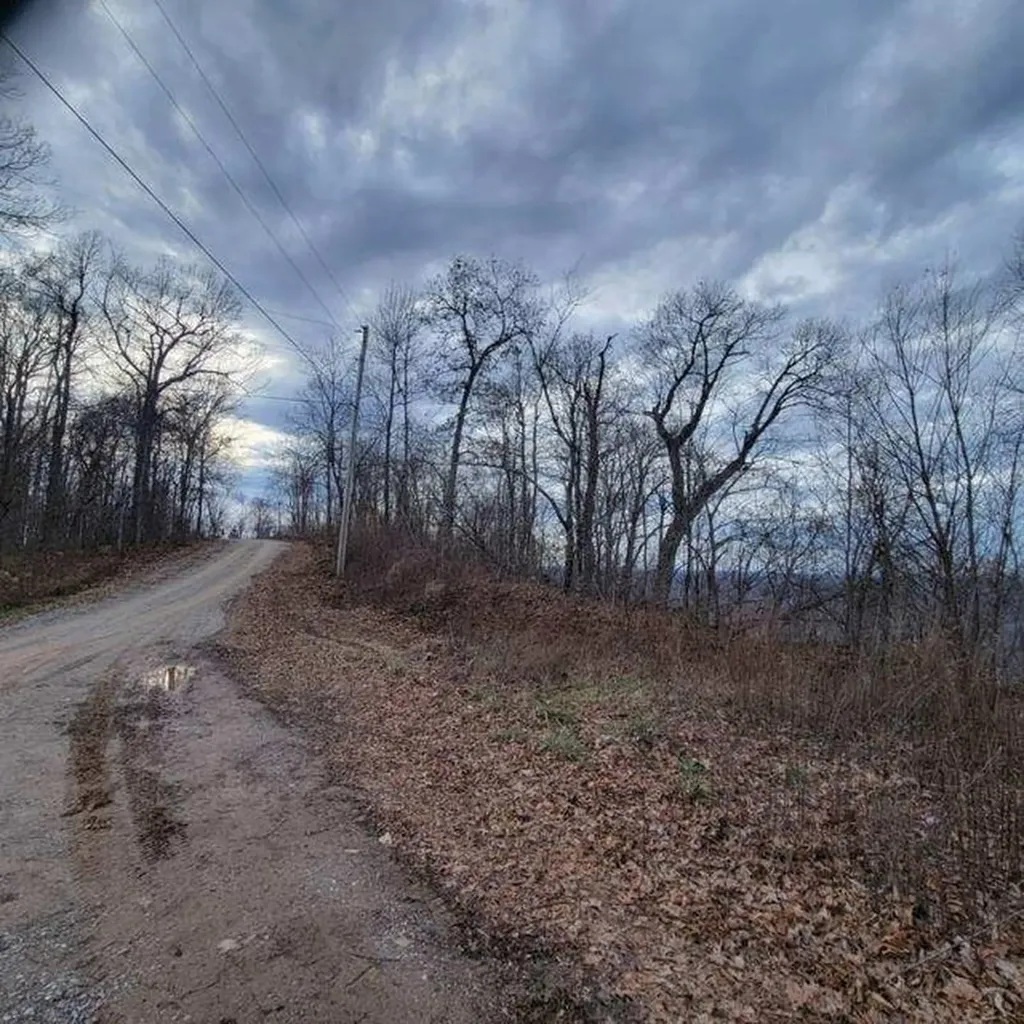 0 Little Bedford Road Spring City TN 37381