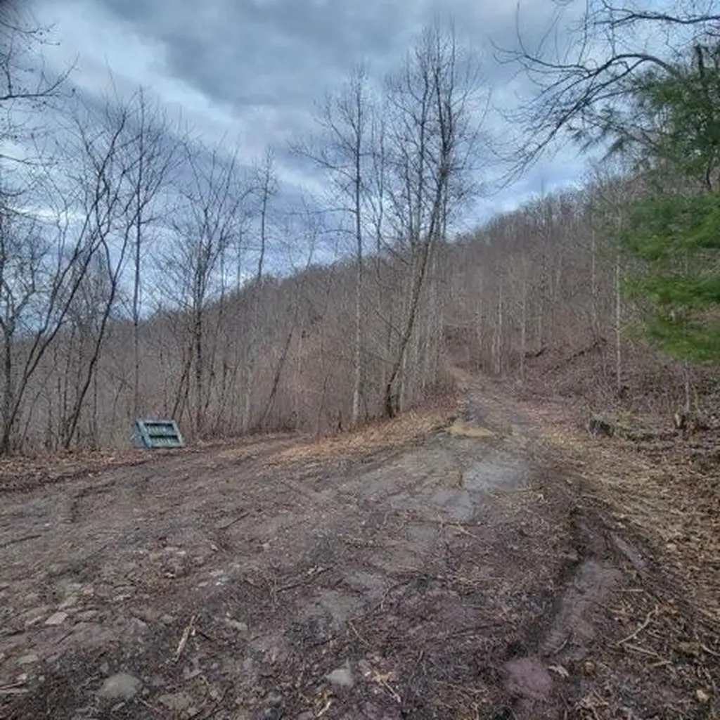 0 Little Bedford Road Spring City TN 37381