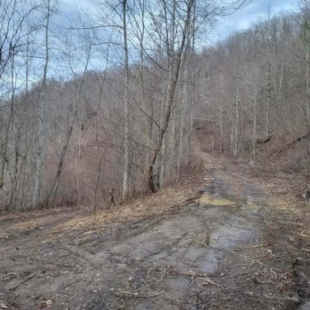 0 Little Bedford Road Spring City TN 37381