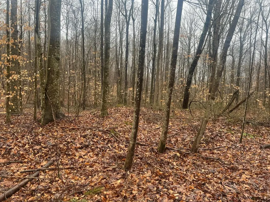 4271 Milky Way Road Lot 43 Jamestown TN 38556