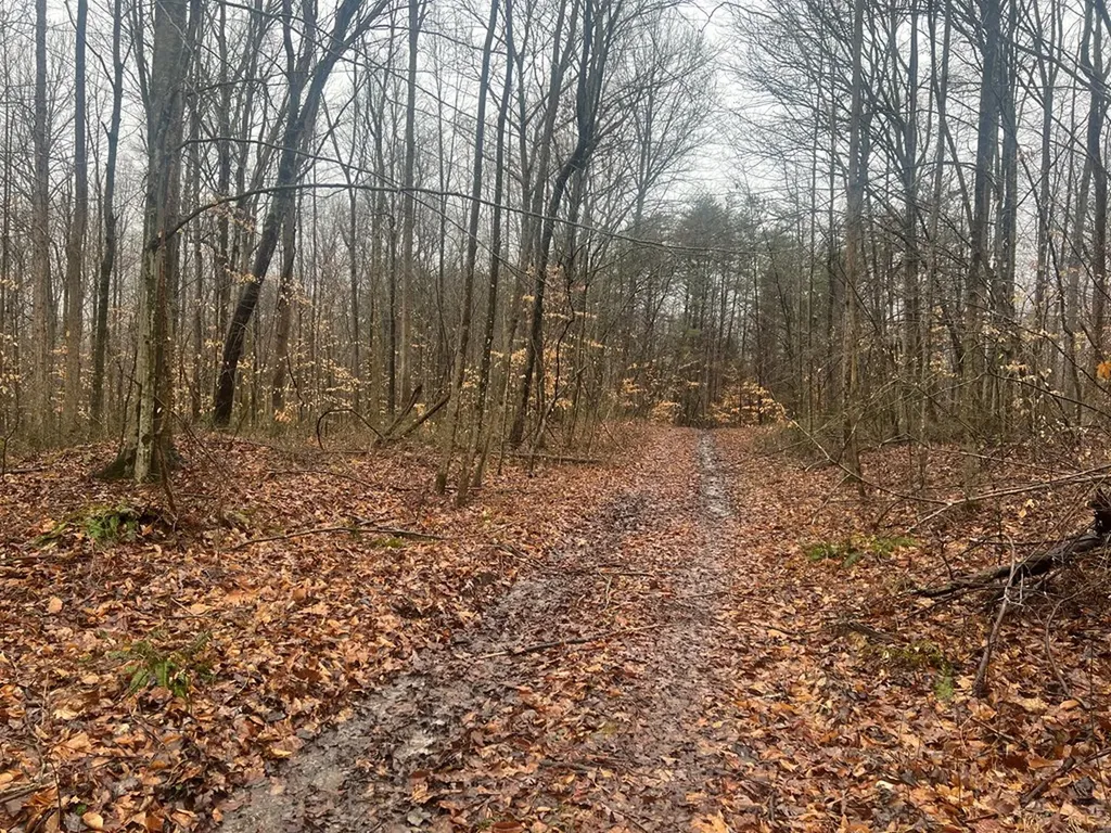 4271 Milky Way Road Lot 43 Jamestown TN 38556
