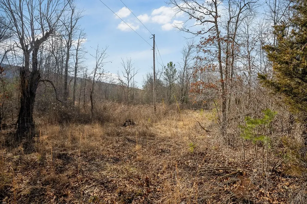 00 Hebbertsburg Road Crab Orchard TN 37723
