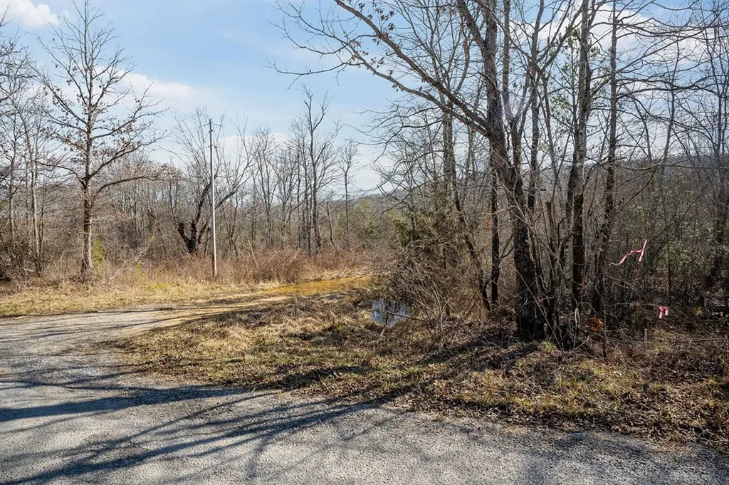 00 Hebbertsburg Road Crab Orchard TN 37723