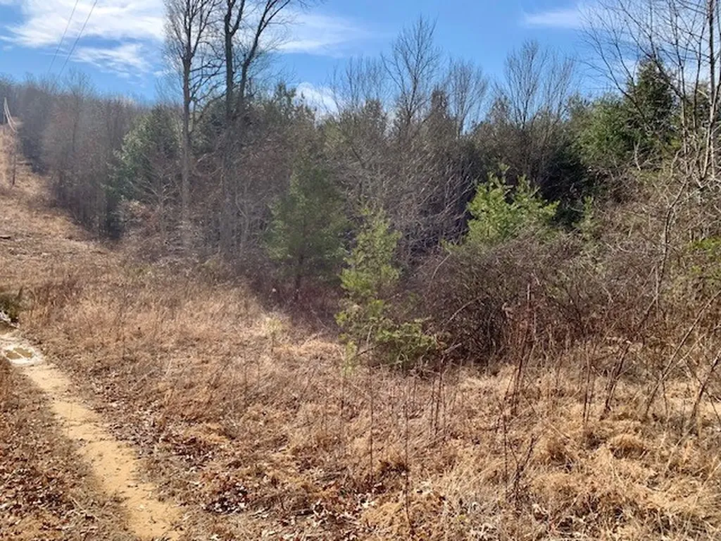 00 Hebbertsburg Road Crab Orchard TN 37723