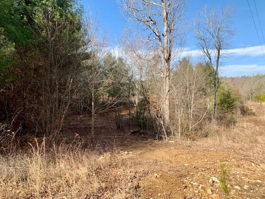 00 Hebbertsburg Road Crab Orchard TN 37723