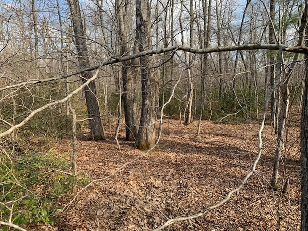 00 Hebbertsburg Road Crab Orchard TN 37723