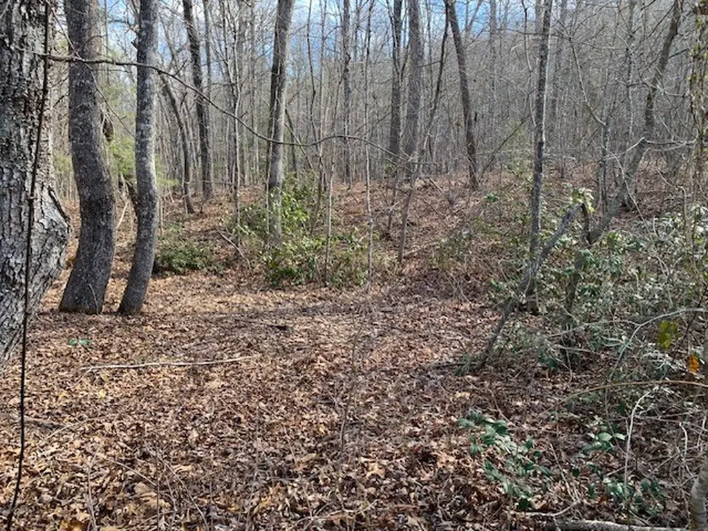 00 Hebbertsburg Road Crab Orchard TN 37723