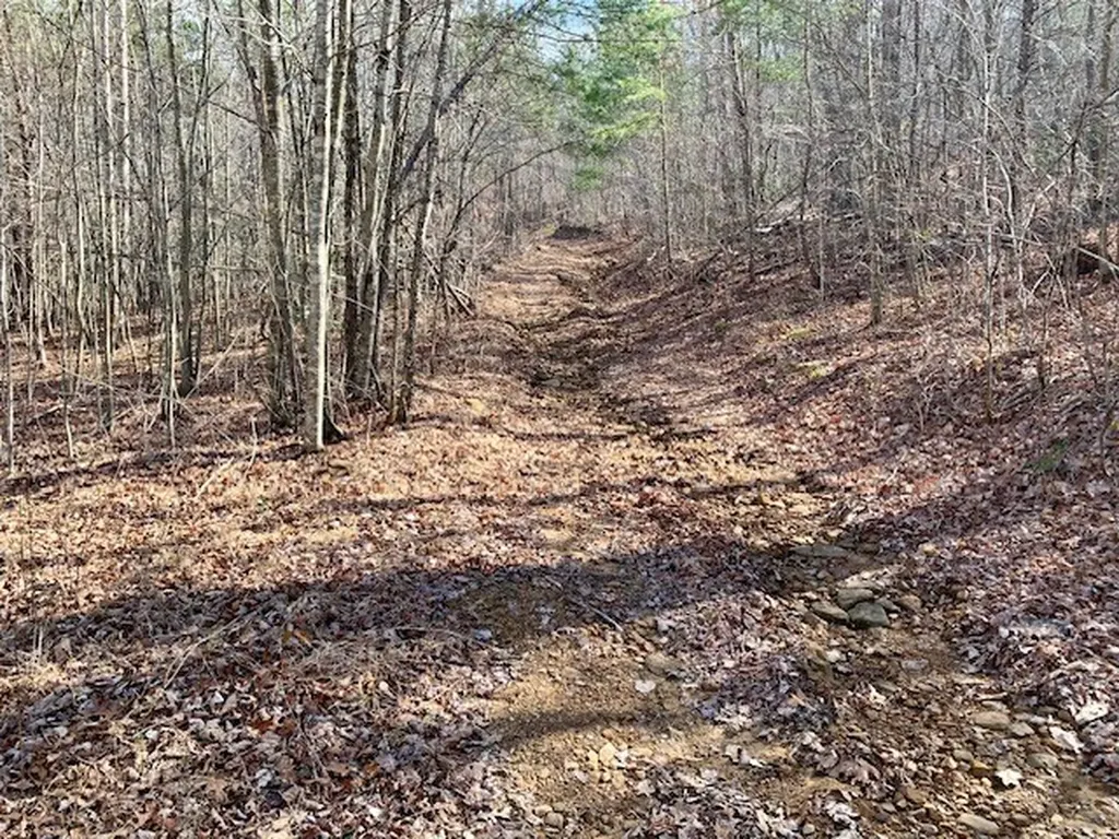 00 Hebbertsburg Road Crab Orchard TN 37723