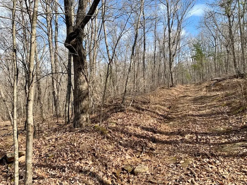 00 Hebbertsburg Road Crab Orchard TN 37723