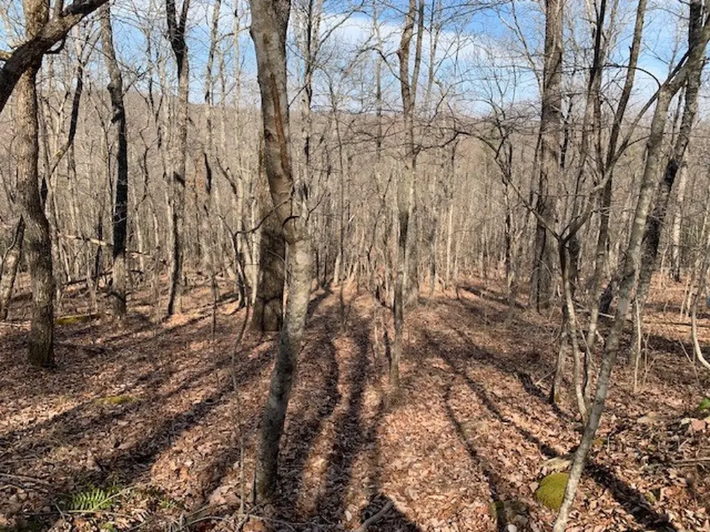 00 Hebbertsburg Road Crab Orchard TN 37723