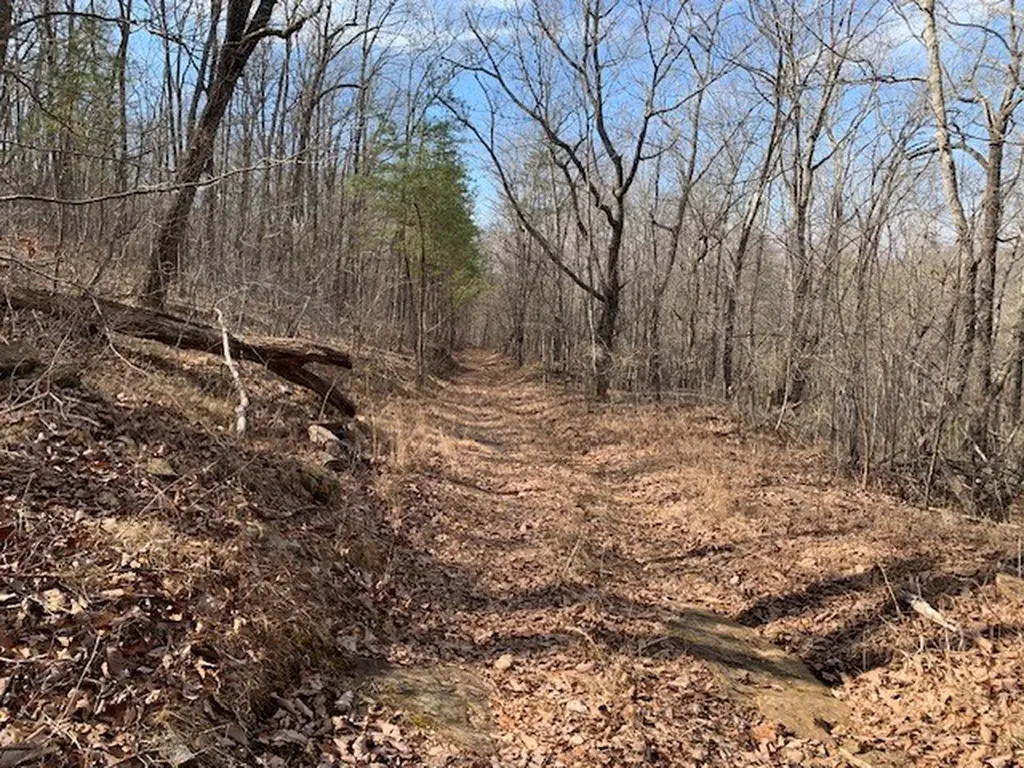 00 Hebbertsburg Road Crab Orchard TN 37723