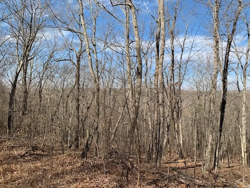 00 Hebbertsburg Road Crab Orchard TN 37723