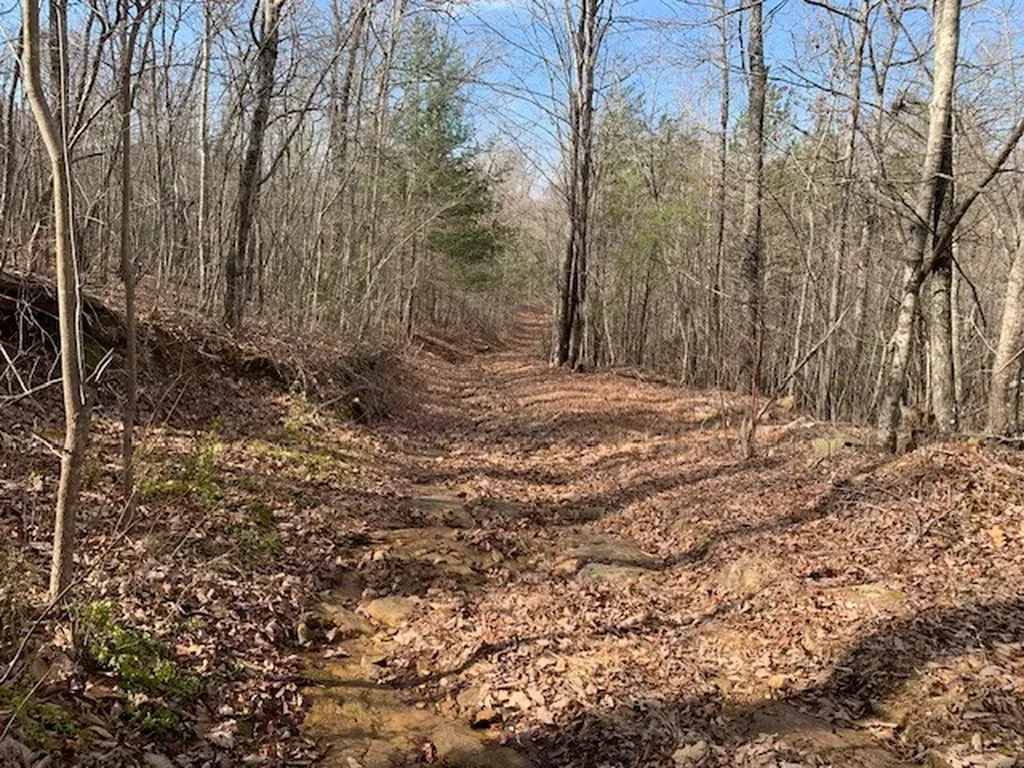 00 Hebbertsburg Road Crab Orchard TN 37723