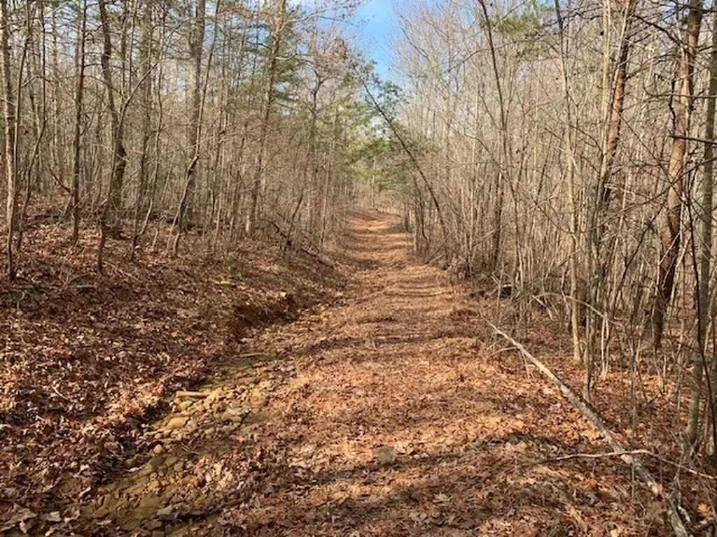 00 Hebbertsburg Road Crab Orchard TN 37723
