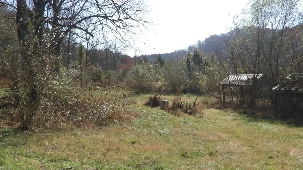 3509 Wet Mill Creek Road Celina TN 38551