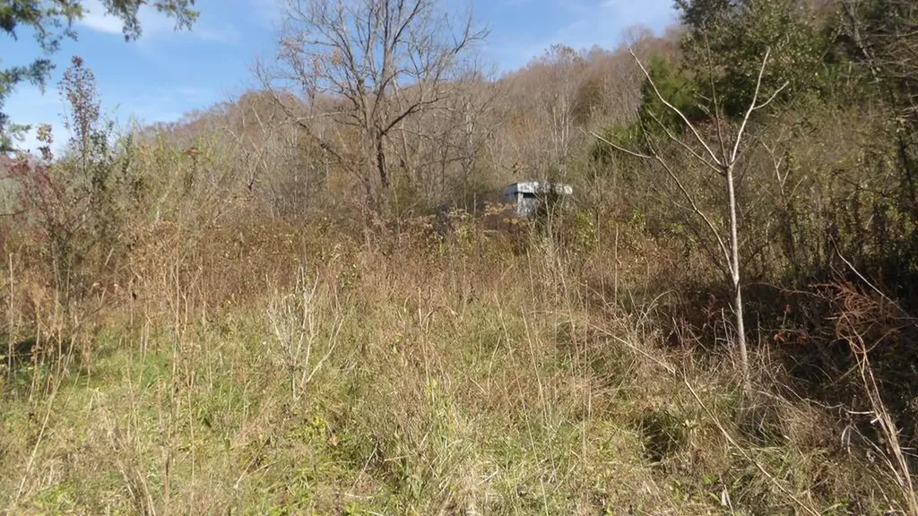 3509 Wet Mill Creek Road Celina TN 38551