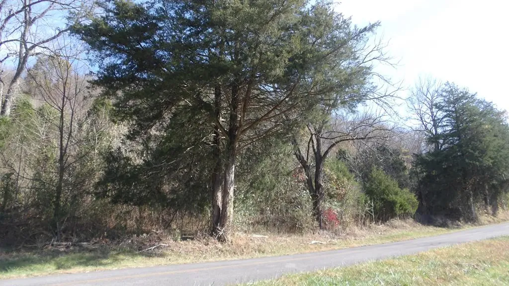 3509 Wet Mill Creek Road Celina TN 38551