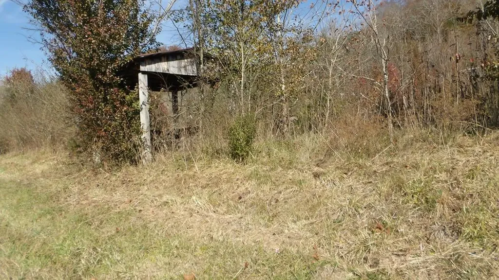 3509 Wet Mill Creek Road Celina TN 38551