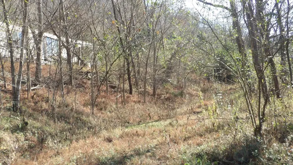 3509 Wet Mill Creek Road Celina TN 38551