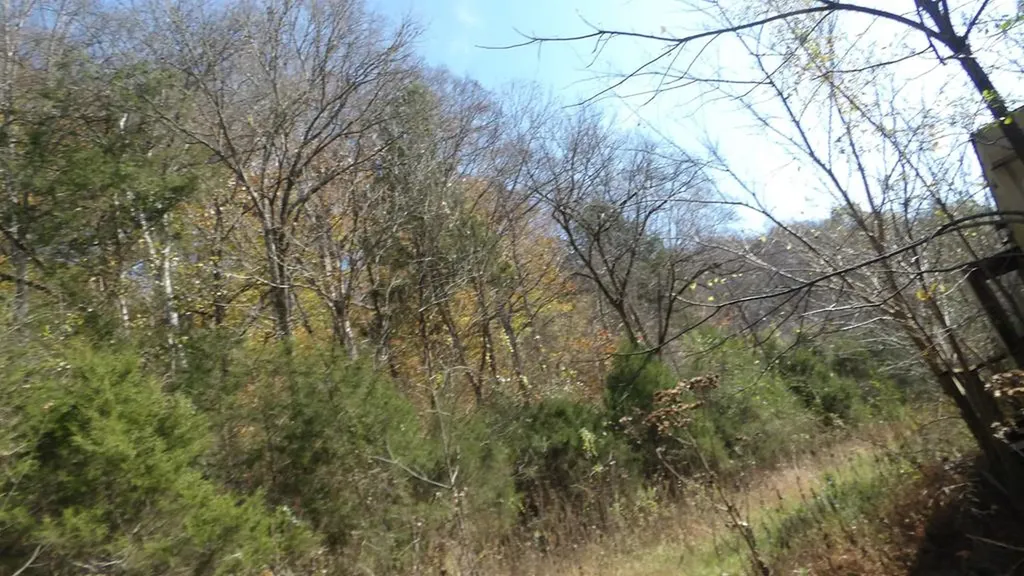 3509 Wet Mill Creek Road Celina TN 38551