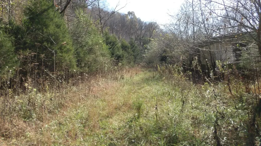 3509 Wet Mill Creek Road Celina TN 38551