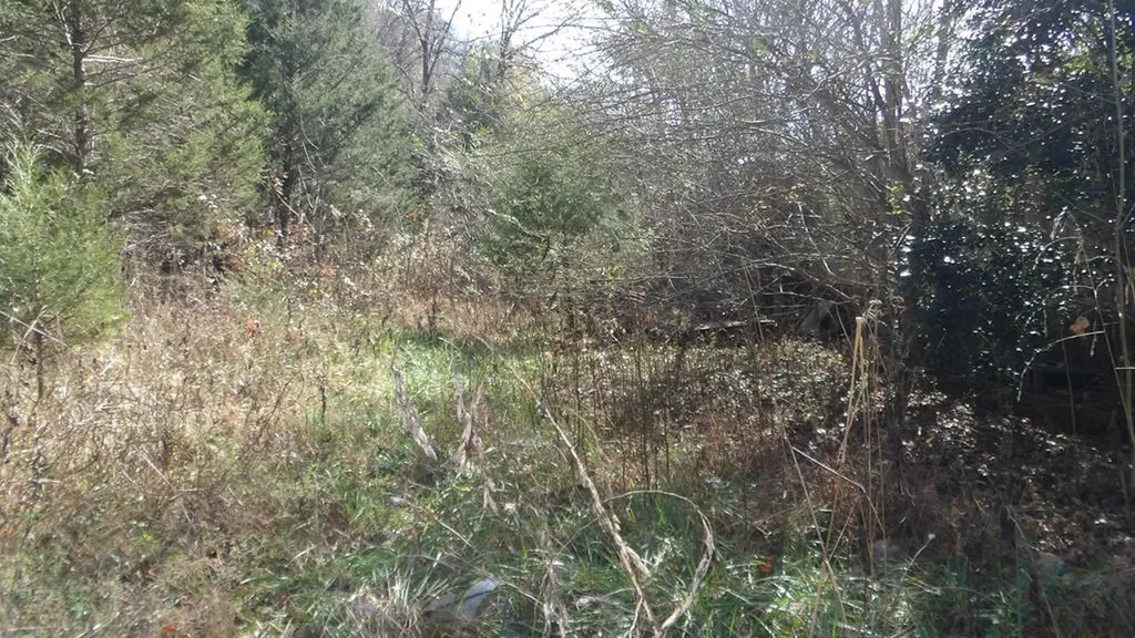 3509 Wet Mill Creek Road Celina TN 38551