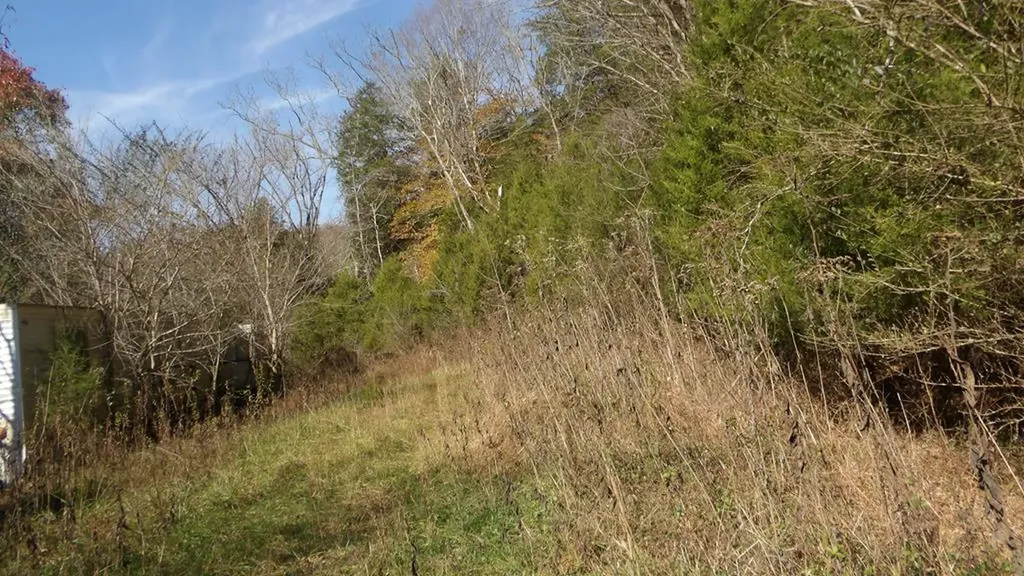 3509 Wet Mill Creek Road Celina TN 38551