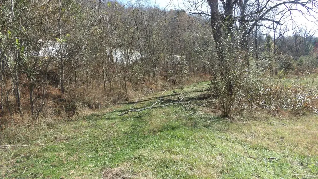 3509 Wet Mill Creek Road Celina TN 38551