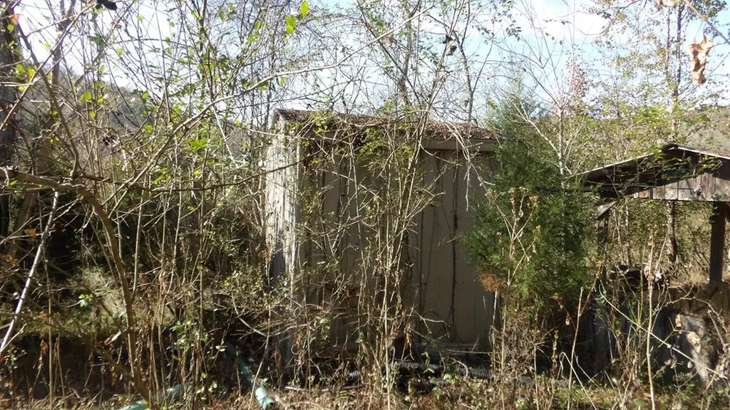 3509 Wet Mill Creek Road Celina TN 38551