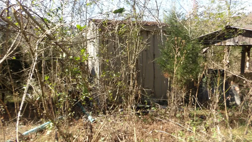 3509 Wet Mill Creek Road Celina TN 38551