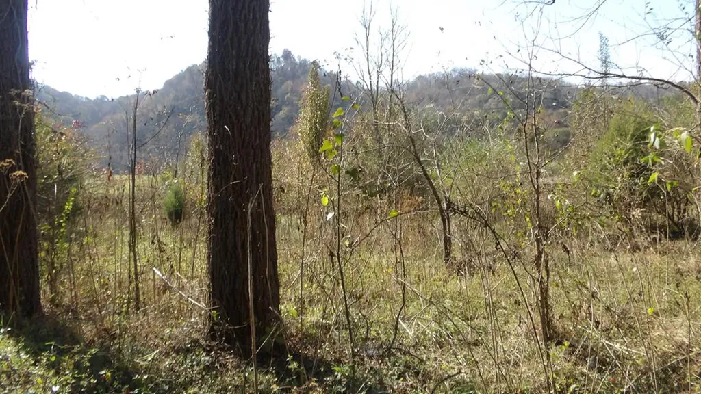 3509 Wet Mill Creek Road Celina TN 38551