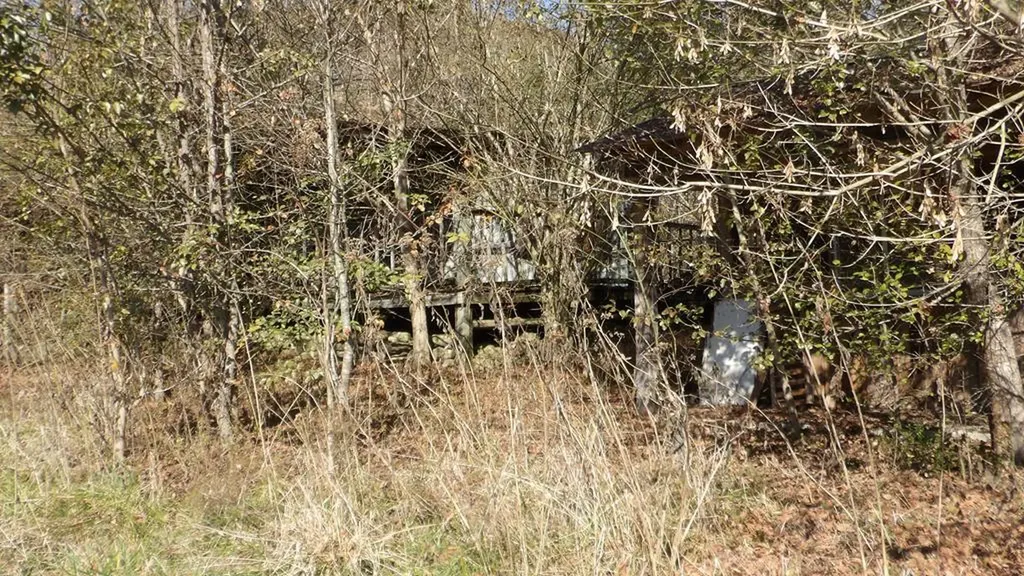 3509 Wet Mill Creek Road Celina TN 38551