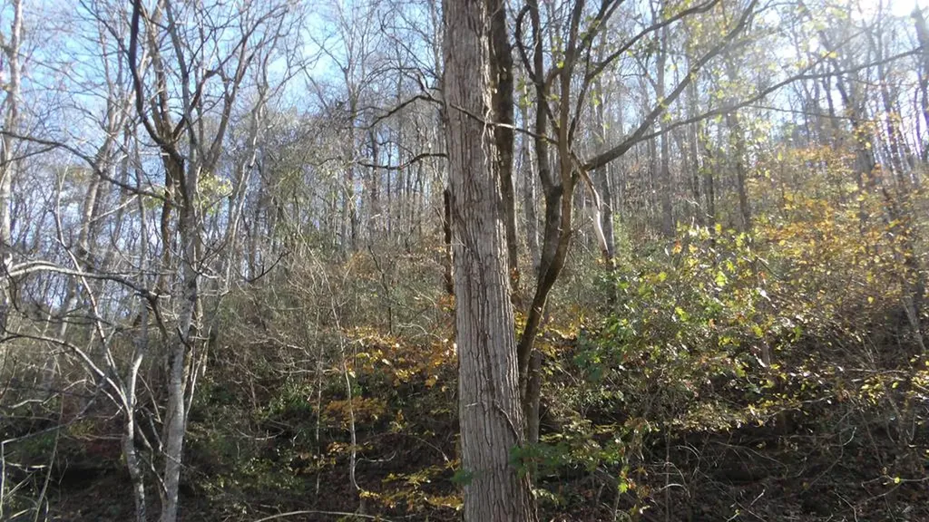 3509 Wet Mill Creek Road Celina TN 38551