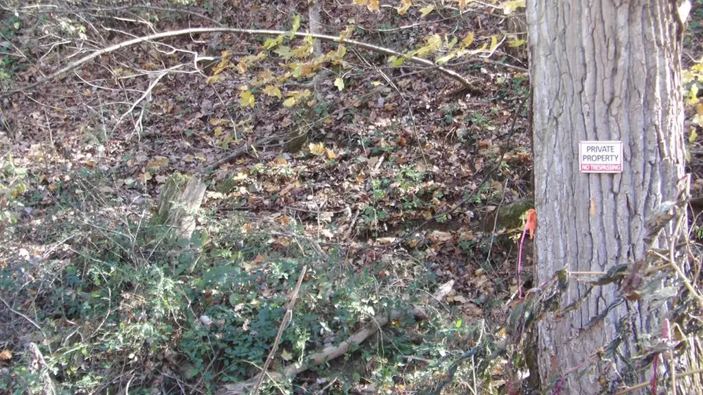 3509 Wet Mill Creek Road Celina TN 38551