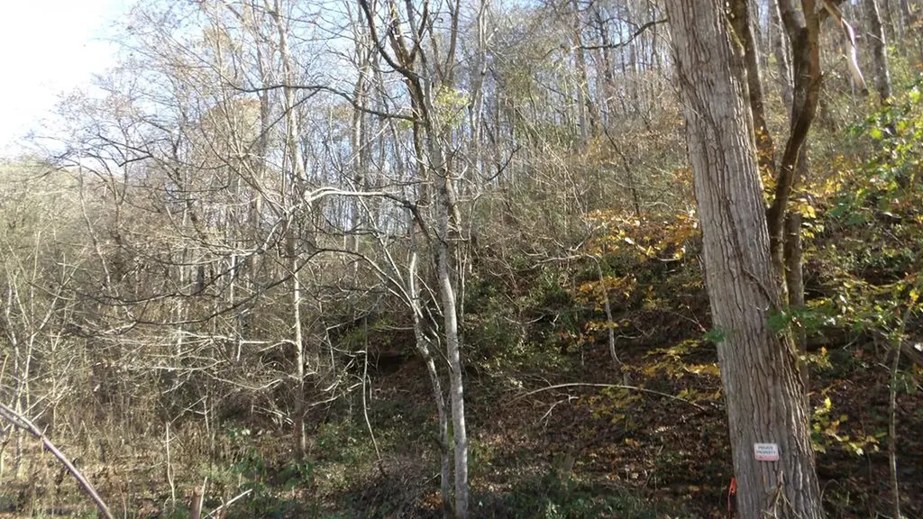 3509 Wet Mill Creek Road Celina TN 38551