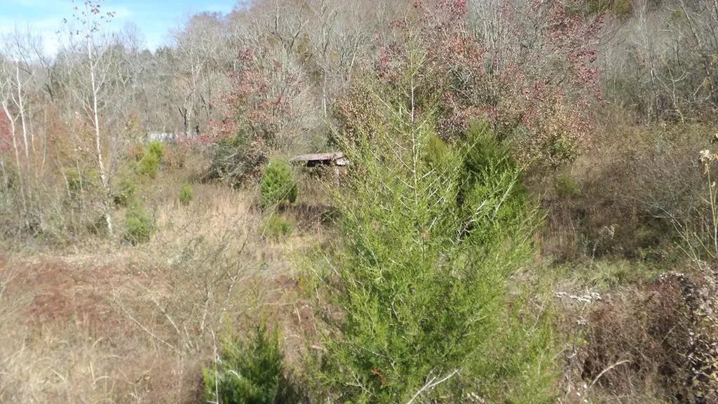 3509 Wet Mill Creek Road Celina TN 38551