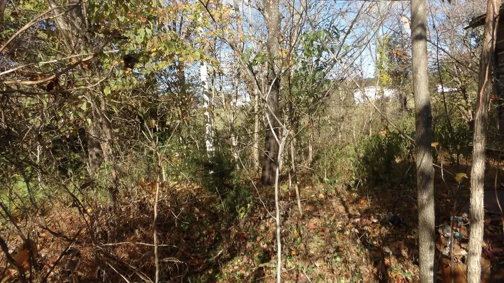 325 Trinity Lane Cookeville TN 38506