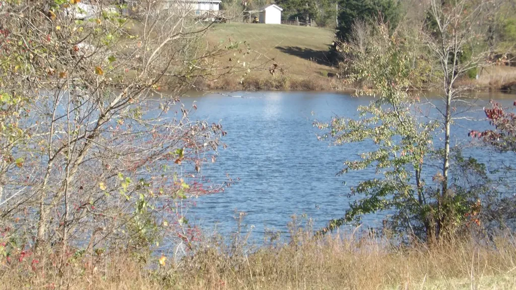 325 Trinity Lane Cookeville TN 38506