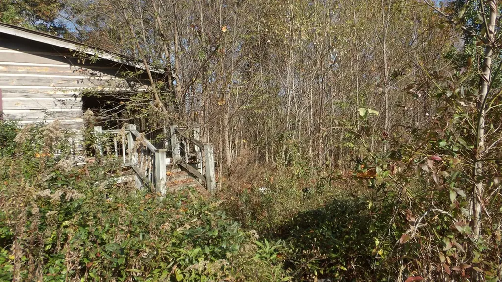 325 Trinity Lane Cookeville TN 38506