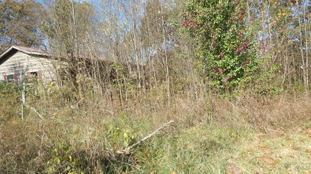 325 Trinity Lane Cookeville TN 38506