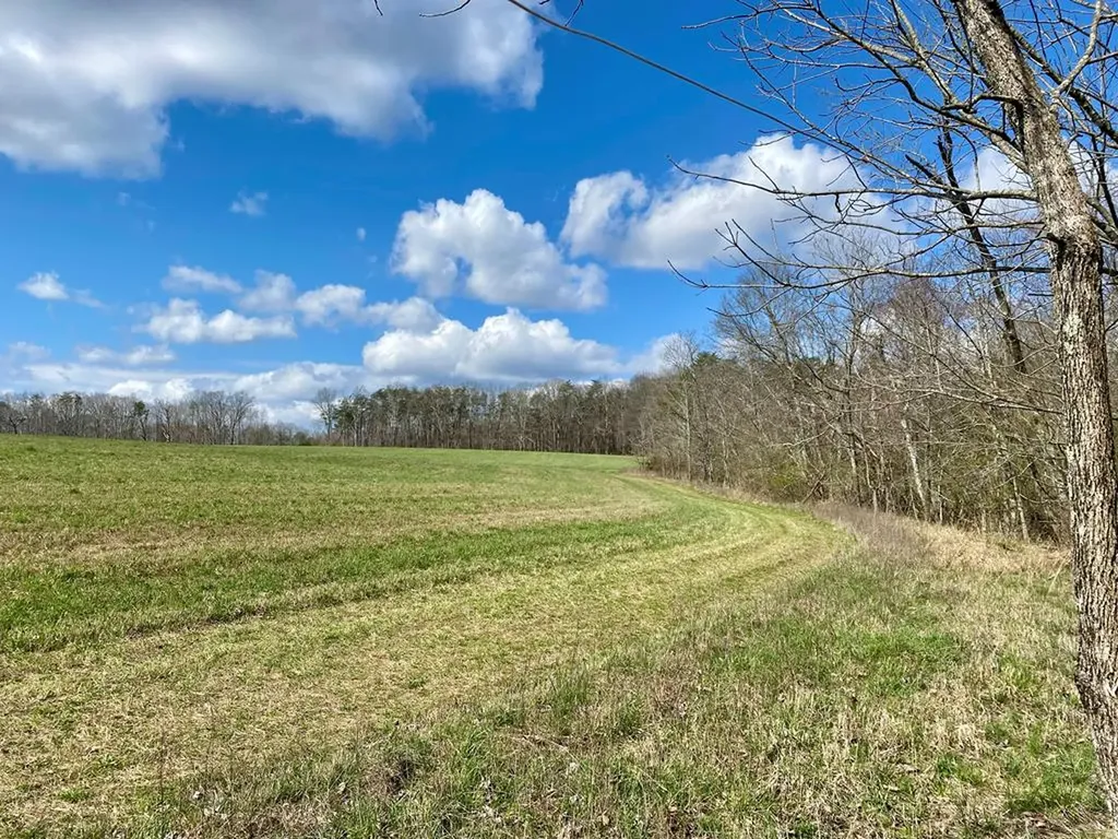 164 Norris Street Crossville TN 38572