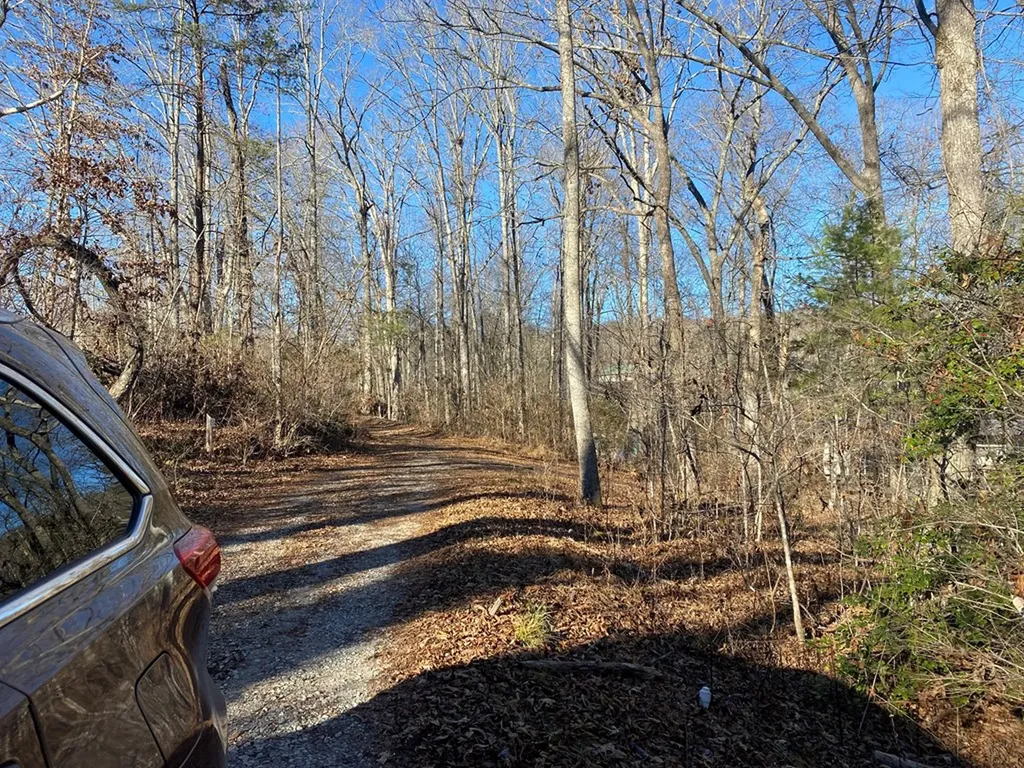 164 Norris Street Crossville TN 38572