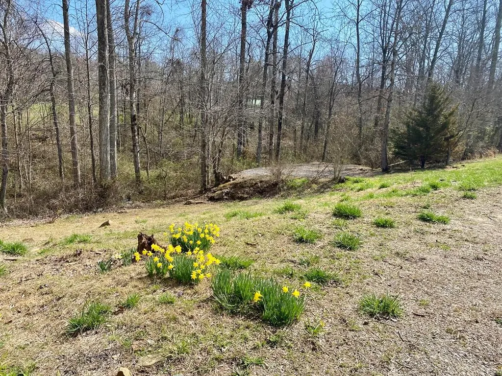 164 Norris Street Crossville TN 38572