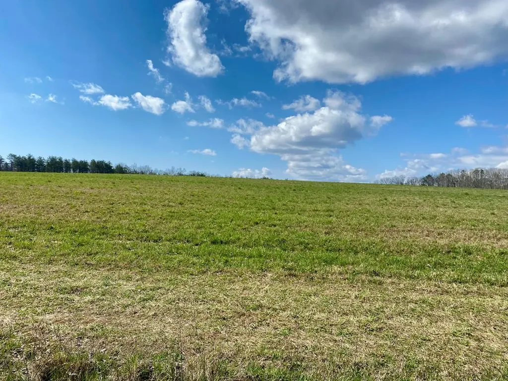 164 Norris Street Crossville TN 38572